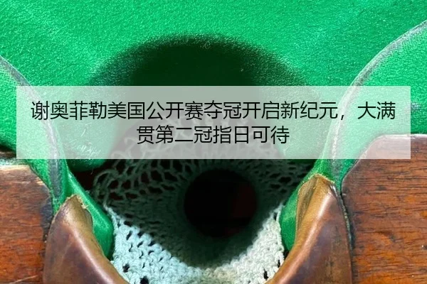 xie-ao-fei-lei-mei-guo-gong-kai-sai-duo-guan-kai-qi-xin-ji-yuan-da-man-guan-di-er-guan-zhi-ri-ke-dai-2-513.jpg